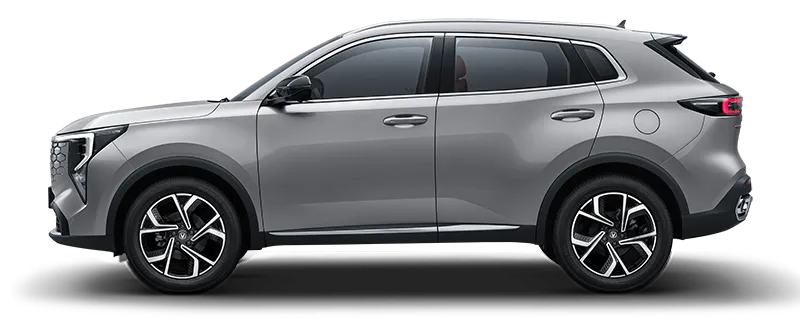Putty Grey