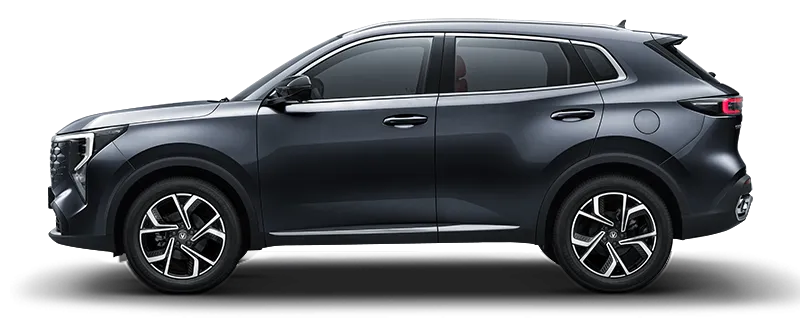 Shadow Grey